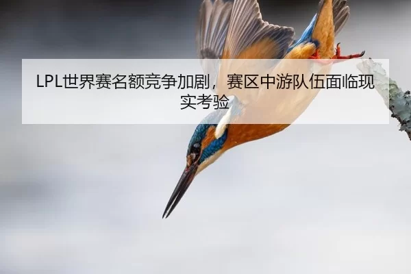 LPL世界赛名额竞争加剧，赛区中游队伍面临现实考验